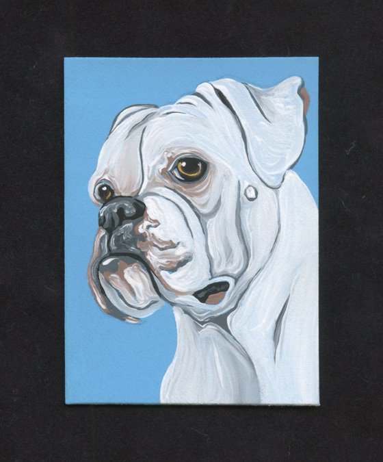 ACEO ATC Original Painting White Boxer Pet Dog Art-Carla Smale