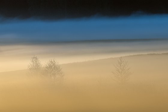 When The Day Wakes Up
