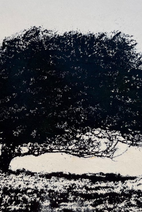 Memory of the Wind by Diane McLellan