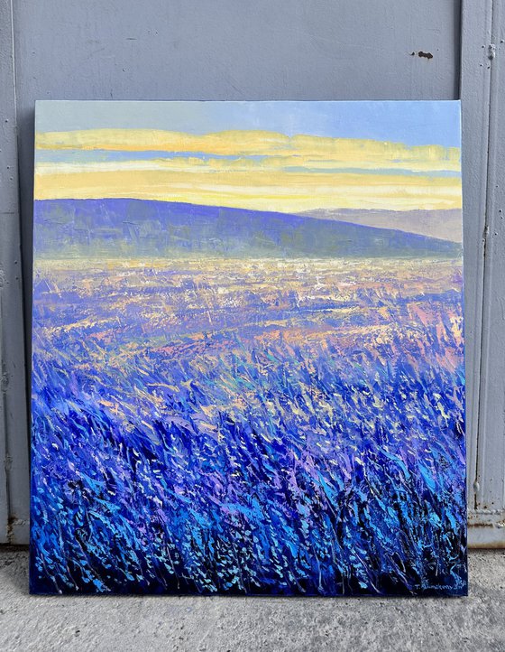 Field at Sunrise III 70x80cm