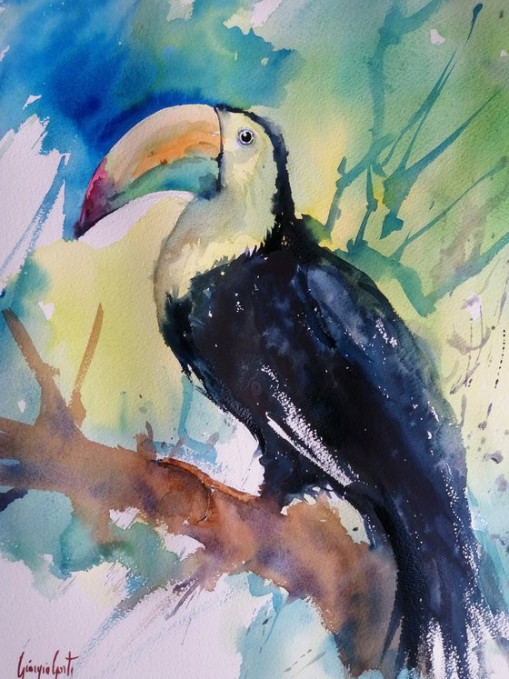toucan 4