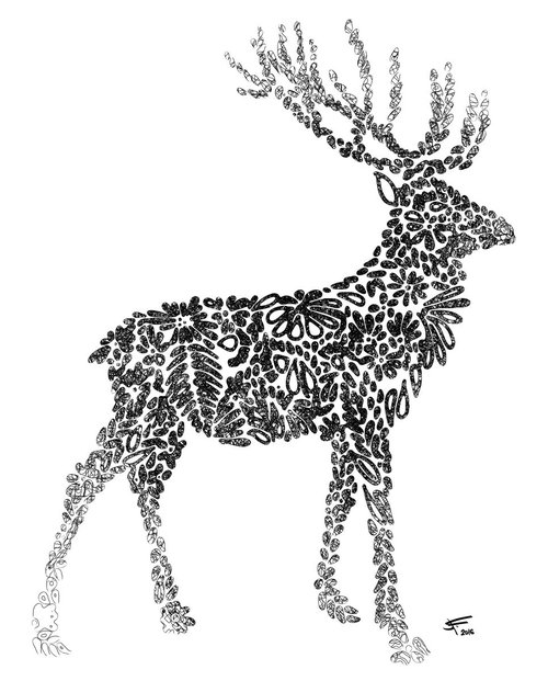 Deer Antler, Black and White, Framed Artwork, 16 x20 inches, by Jeff Kaguri