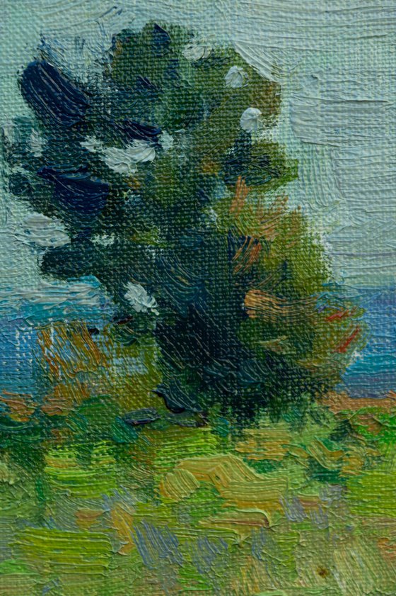 Meadow - Original Oil Painting