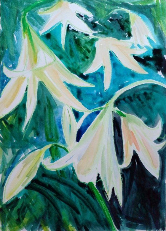 Evening Lilies