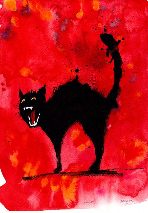 Angry Black Cat (Chat Noir)