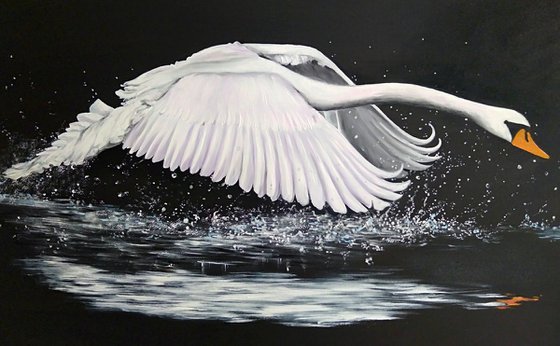 The swan