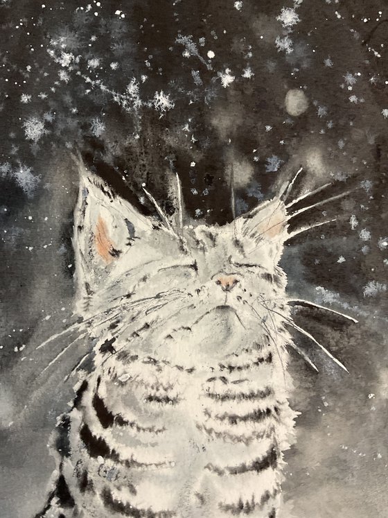 The magic of the first snow