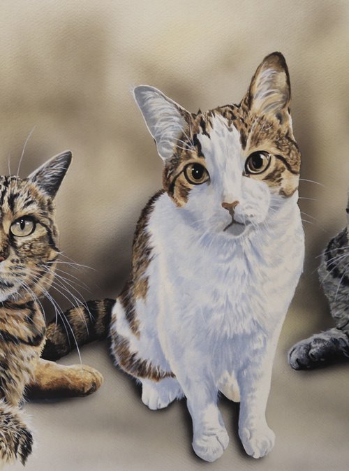 Dixie,Scooter,Ducky by Julian Wheat