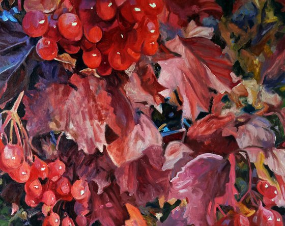 Red viburnum