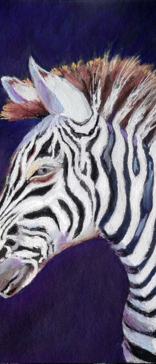 Zebra by Liubov Samoilova