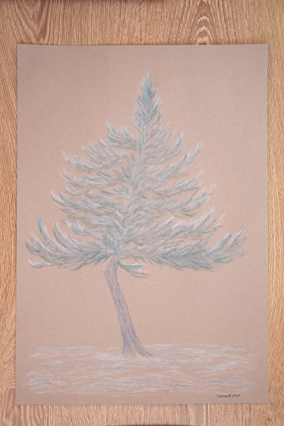 Pine tree