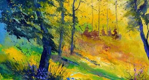 Artwork by Pol Henry Ledent