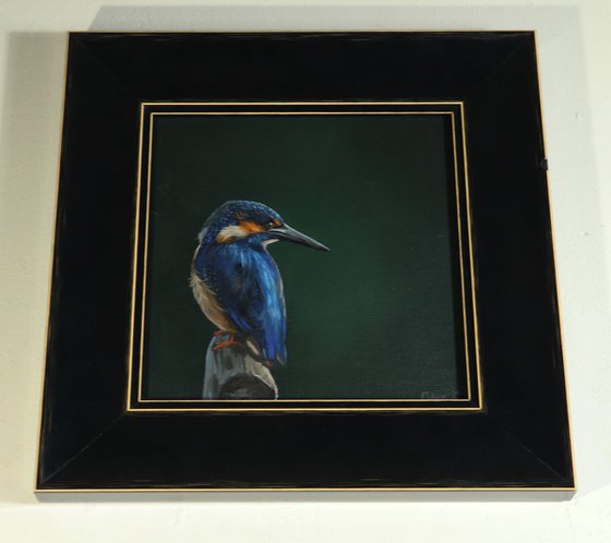 Kingfisher Portrait, Bird Artwork