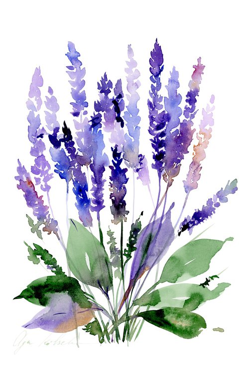 Purple lavender watercolor by Olga Koelsch