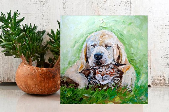 Dog And Cat