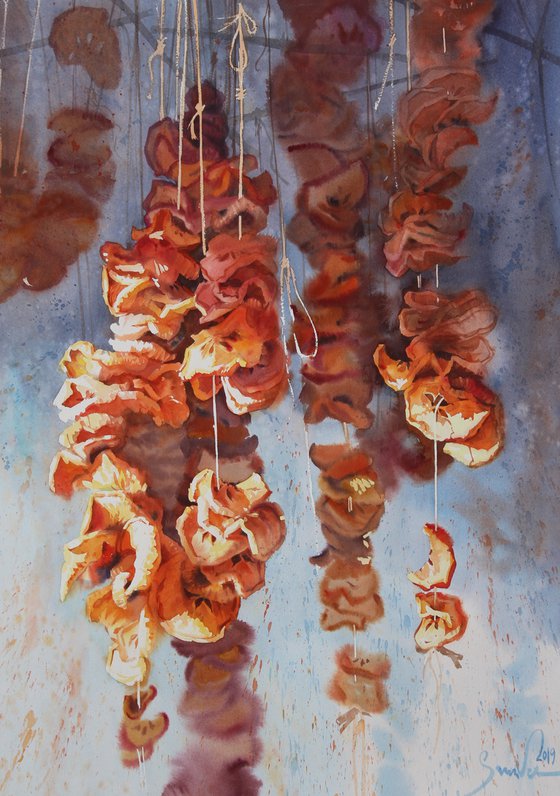 A unique watercolor masterpiece Dried apples by Samira Yanushkova