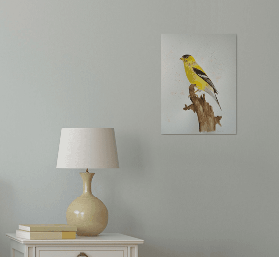 American goldfinch