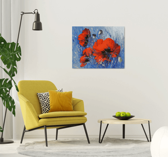 Wild Poppies Serenade
