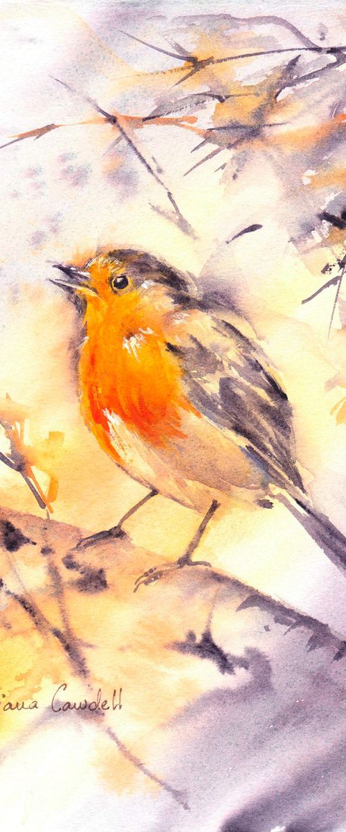 Robin by Anjana Cawdell