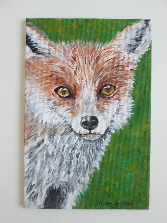 Foxy the Red Fox