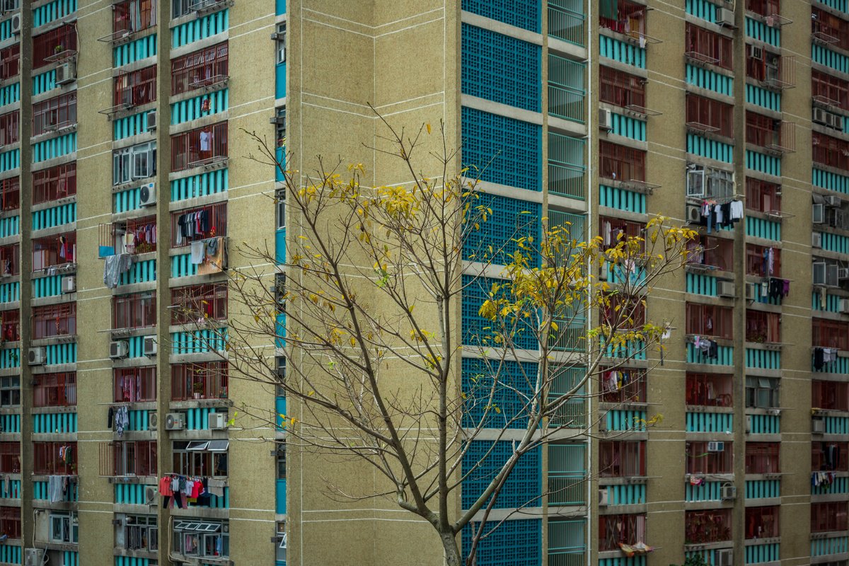 Autumn in the Concrete Jungle I - Signed Limited Edition by Serge Horta