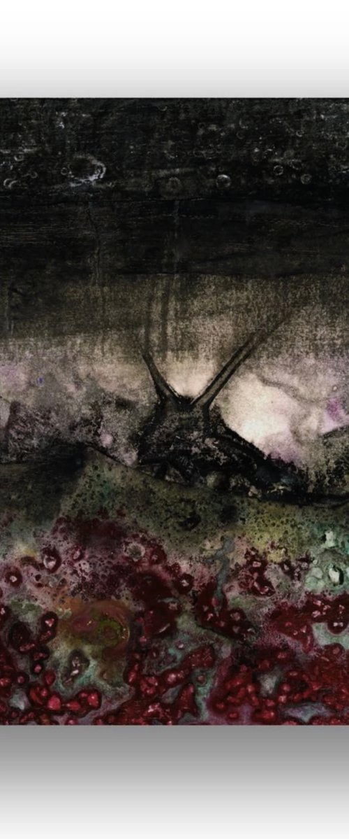 A Slug's Dark Journey by Kathy Morton Stanion