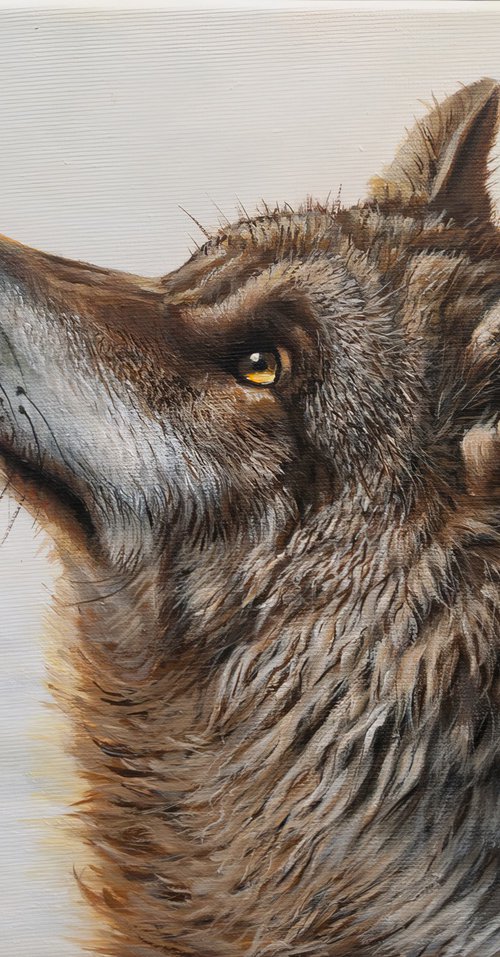 "Wild Soul" by Norma Beatriz Zaro