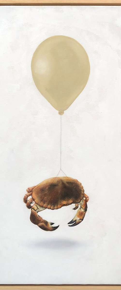 Crab by Joshua Daniels