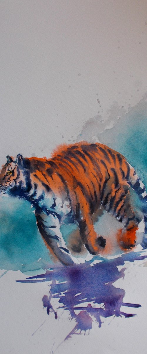 tiger 4 by Giorgio Gosti
