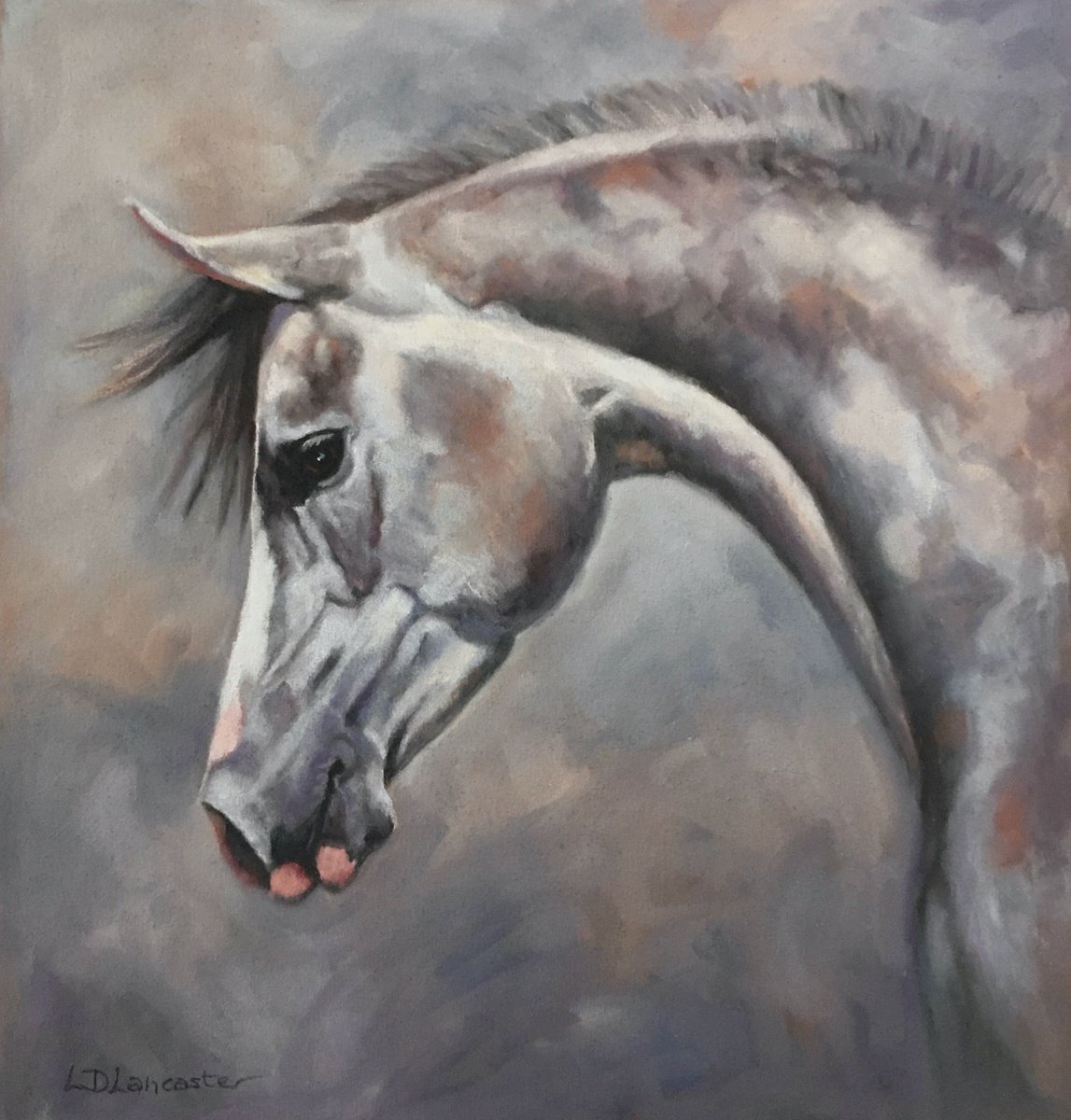 Grey Arab Horse by Lorna Lancaster ASEA