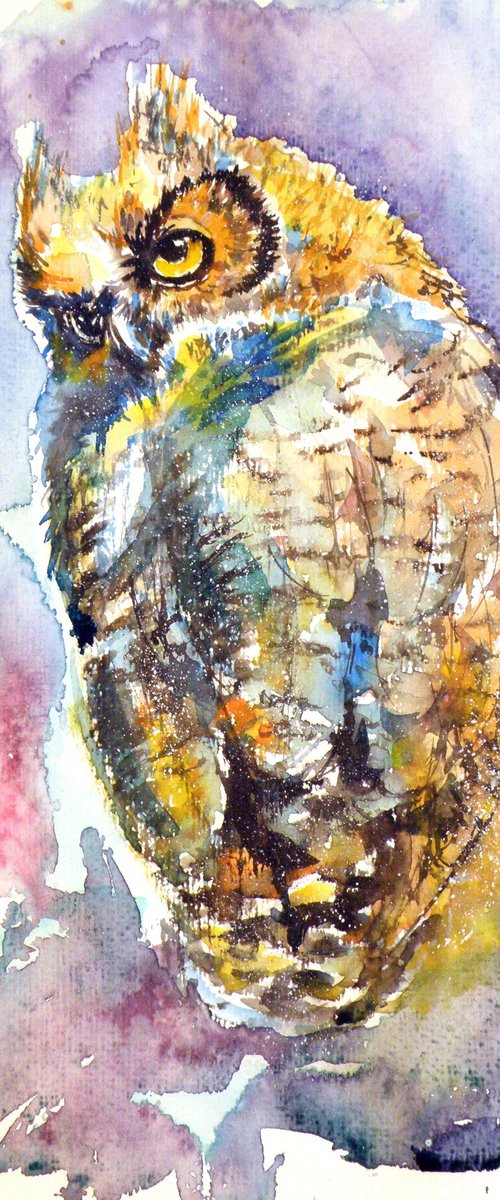 Owl at night II by Kovács Anna Brigitta