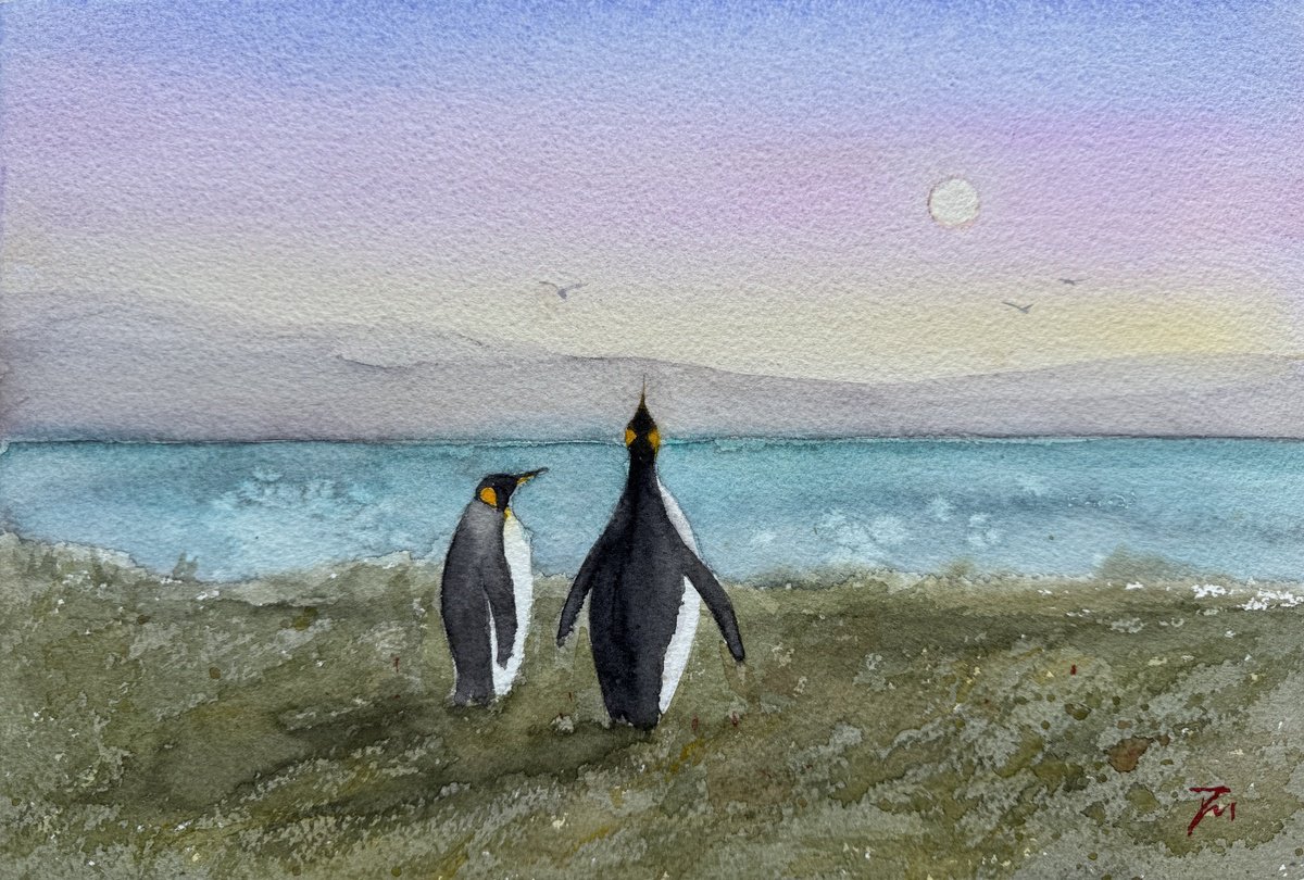 King penguins at Punta Arenas by Shelly Du