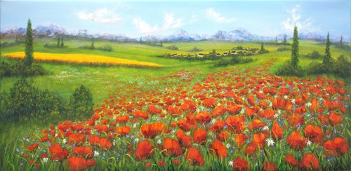 Poppy field on the Tuscan countryside by Ludmilla Ukrow