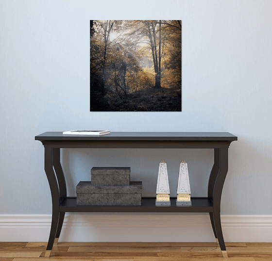 Lerryn woods during autumn