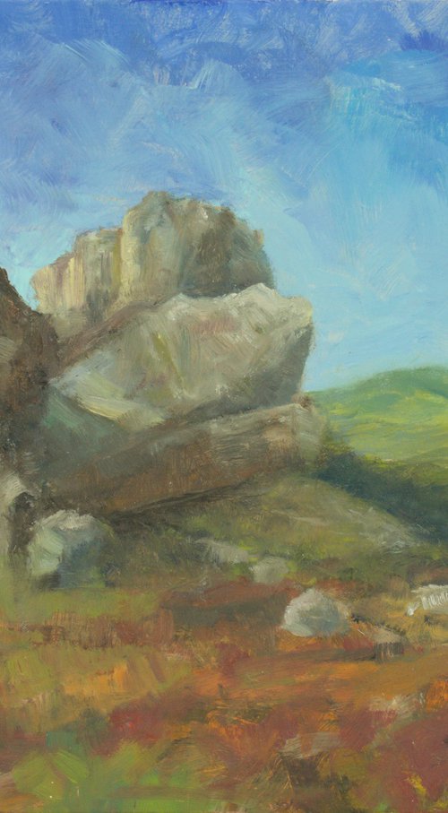 Stiperstones Rocks Shropshire by Egidius Heerkens