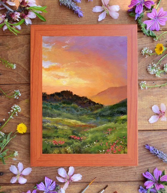 Hills with flowers at sunset