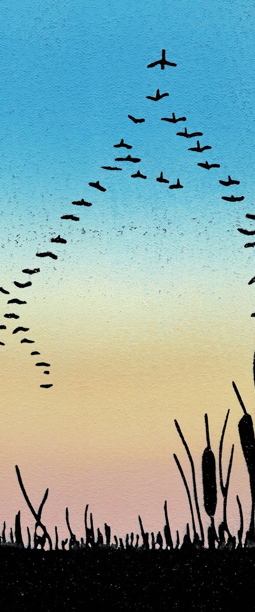 Migration by Joanne Spencer