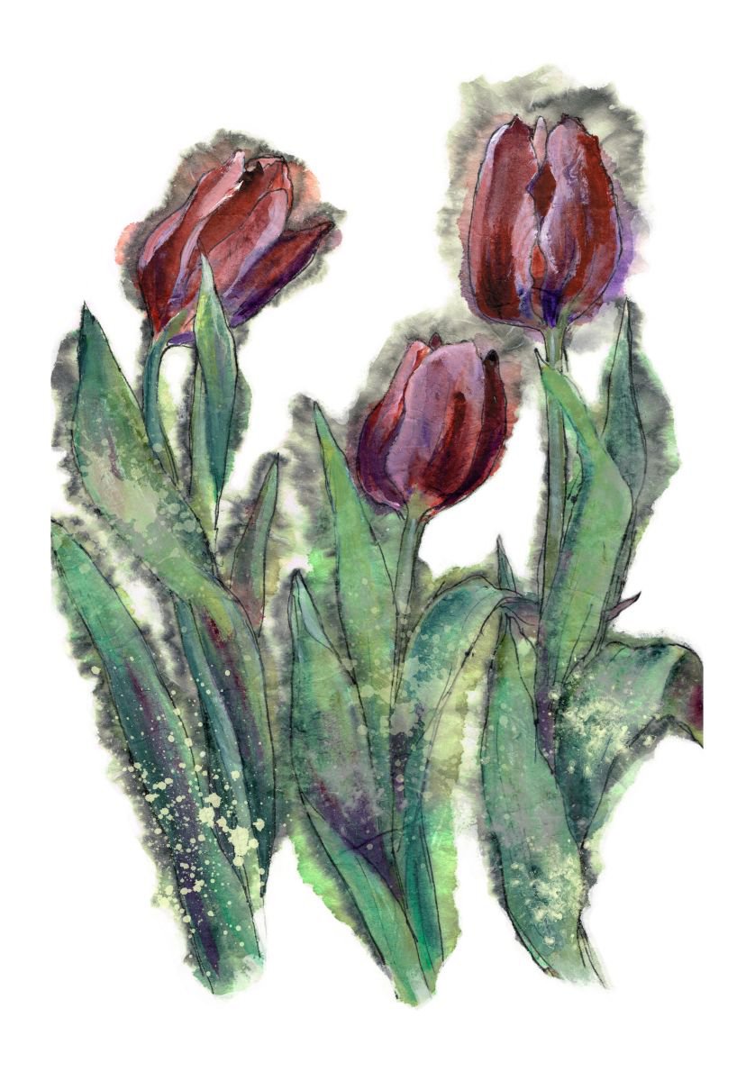 Tulips by Veda  West