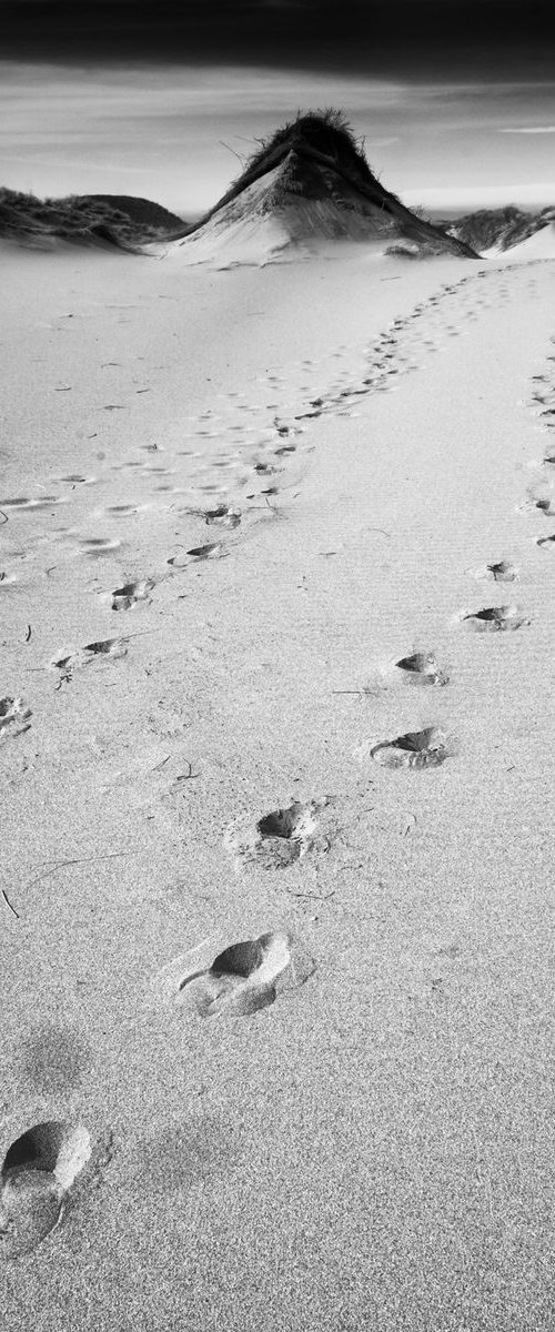 Tracks Sandwood Beach  - Scotland by Stephen Hodgetts Photography
