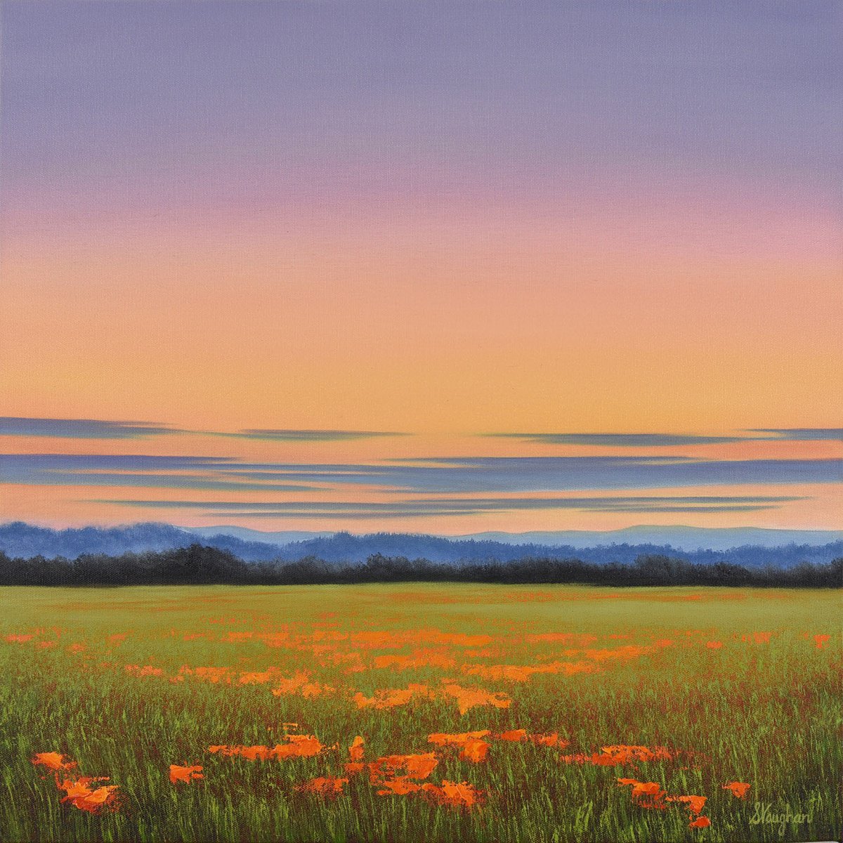 Impressionistic Landscape Oil Painting By Suzanne Vaughan, 20 X 20", Flower Field Sunset, Original Artwork