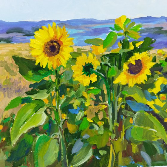 Sunflower field - Landscape - Gouache