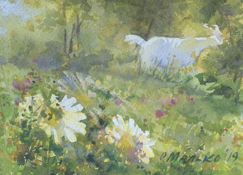 Goat and daisies / Summer sketch Watercolor scenery by Olha Malko