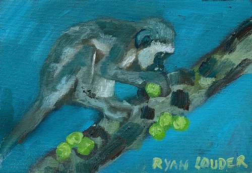 Monkey Eating by Ryan  Louder