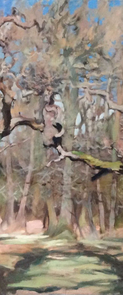 New Forest Series - Autumn 1 by John Welsh
