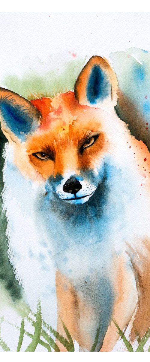 Fox by Olga Tchefranov (Shefranov)