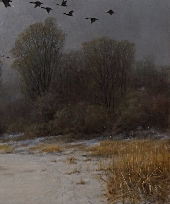 Geese on the run.