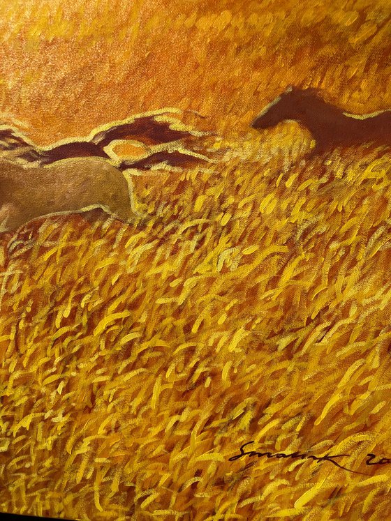 Horses chasing the sun