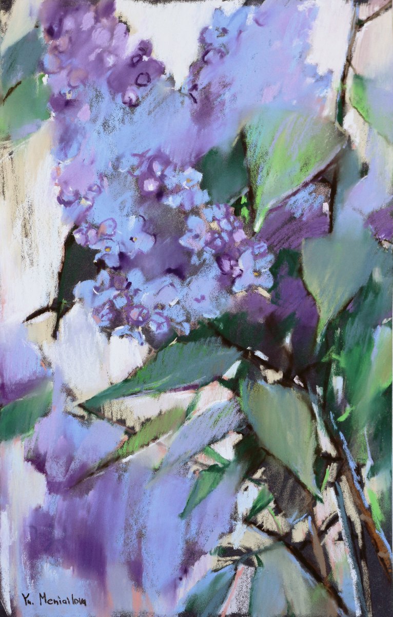 Lilac by Yuliia Meniailova