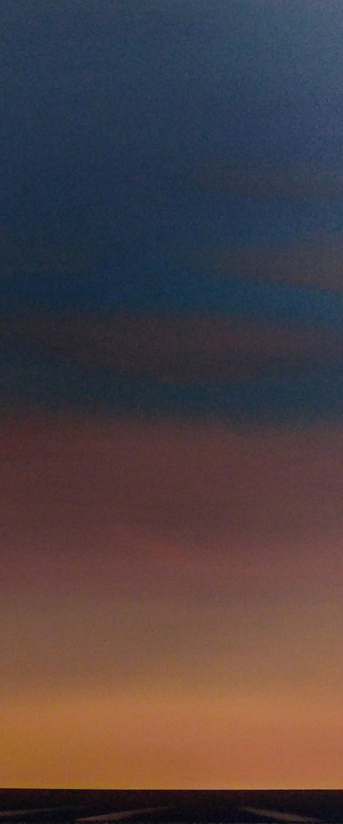 The last light before darkness (01) by Nelly van Nieuwenhuijzen