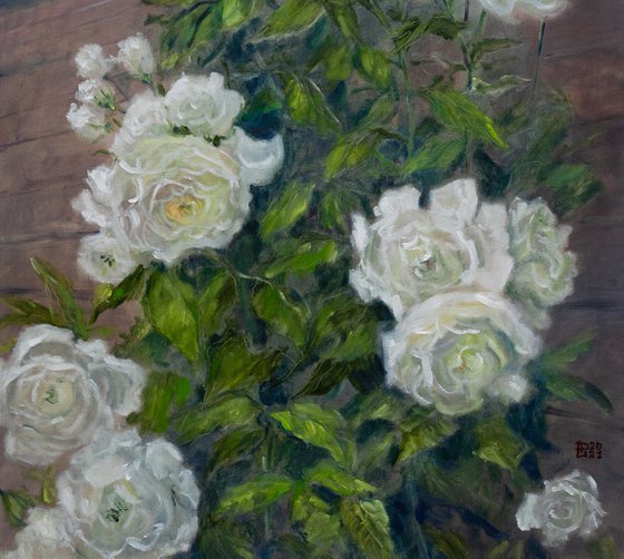 White Night Roses